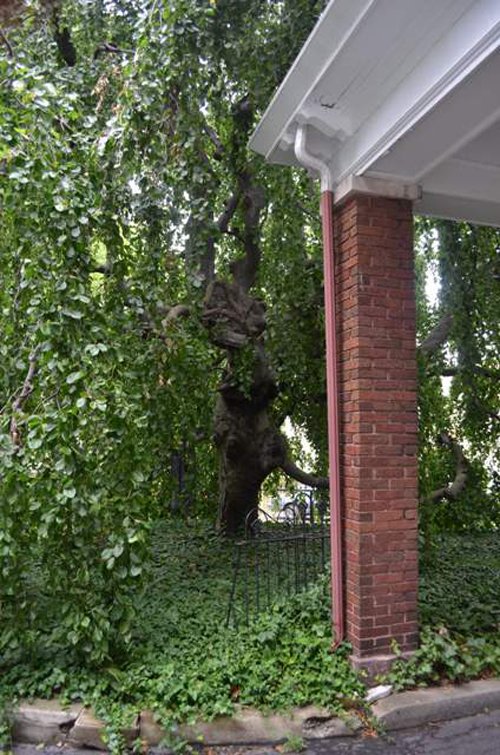 Property photo 30 - Historic Beechwood Circle Mansion